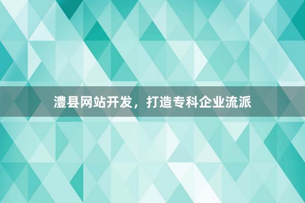 澧县网站开发，打造专科企业流派