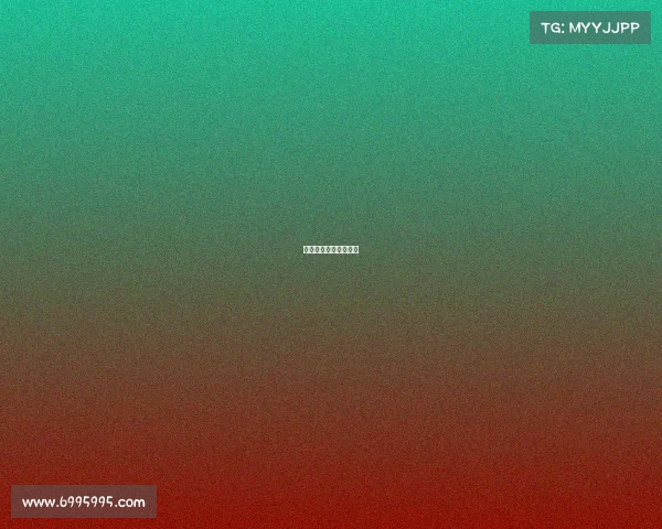 老鹰战术体系深度剖析